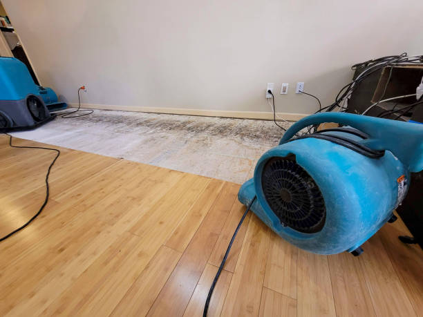 Professional Burst Pipe Water Damage technician working in Marshallville, OH